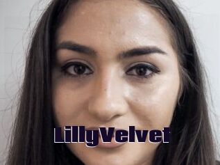 LillyVelvet