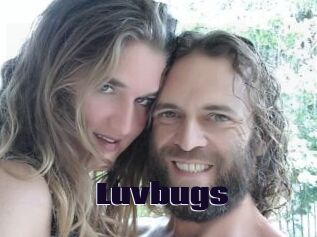 Luvbugs