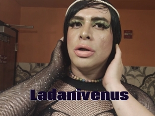 Ladanivenus
