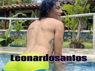 Leonardosantos