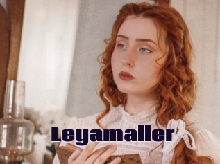 Leyamaller