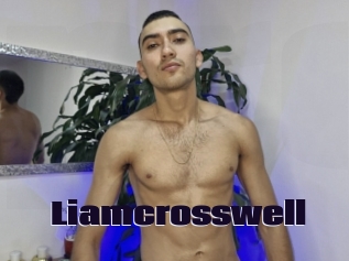 liamcrosswell Prolap Sex