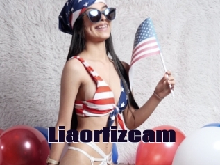 Liaortizcam