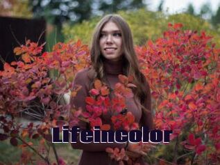 Lifeincolor