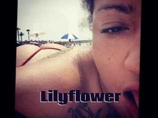 Lilyflower