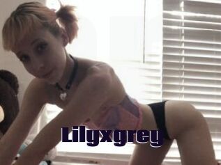 Lilyxgrey
