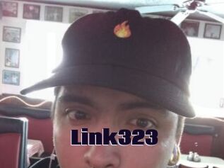Link323