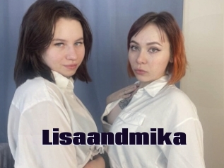 Lisaandmika