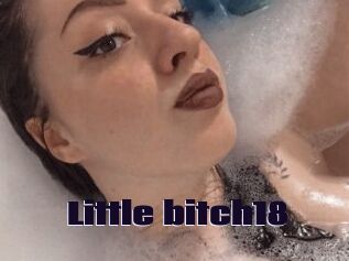 Little_bitch18