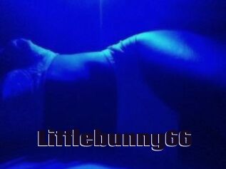 Littlebunny66