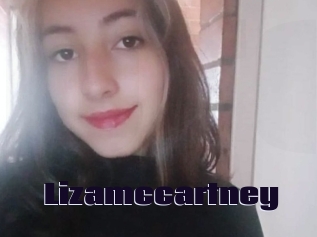 Lizamccartney