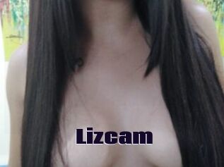 Lizcam
