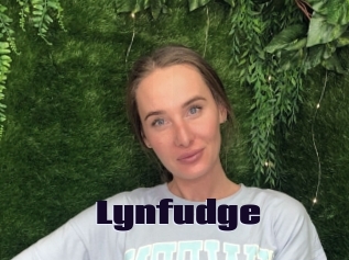 Lynfudge