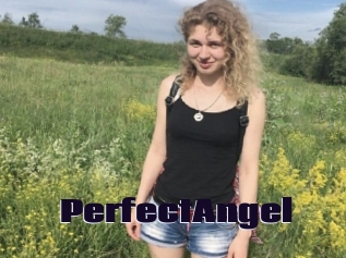 PerfectAngel