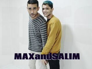 MAXandSALIM