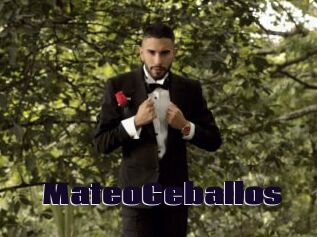 MateoCeballos