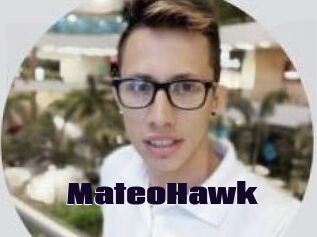 MateoHawk