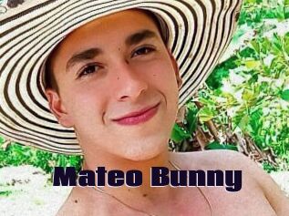 Mateo_Bunny