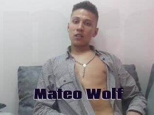 Mateo_Wolf