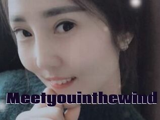 Meetyouinthewind