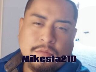 Mikesta210