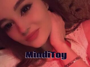MindiToy