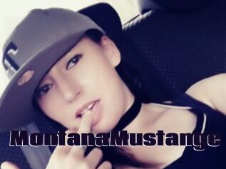MontanaMustange