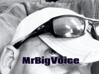 MrBigVoice