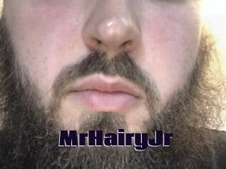 MrHairyJr