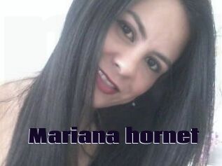 Mariana_hornet