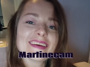 Martinecam