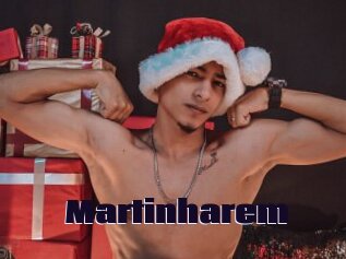 Martinharem