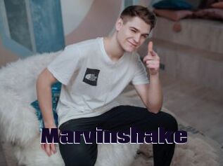 Marvinshake