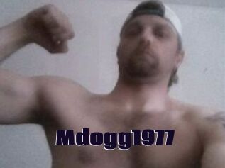 Mdogg1977