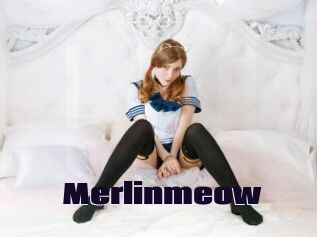 Merlinmeow