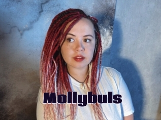 Mollybuls