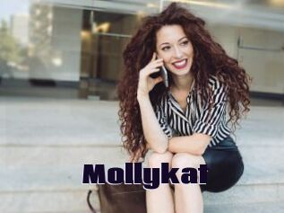 Mollykat
