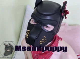 Msaintpuppy