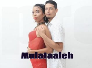 Mulataaleh