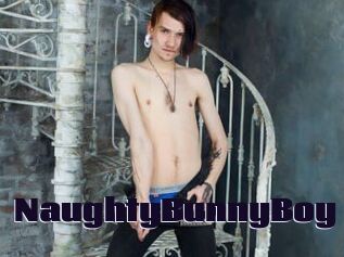 NaughtyBunnyBoy