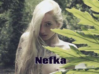 Nefka