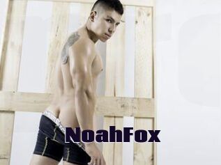 NoahFox