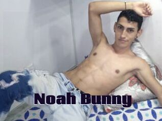 Noah_Bunny