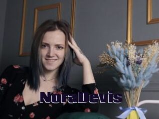 NoraDevis