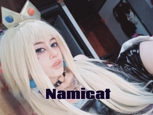 namicat Prolap Sex