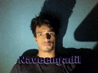 Naveengadil