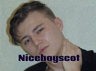Niceboyscot