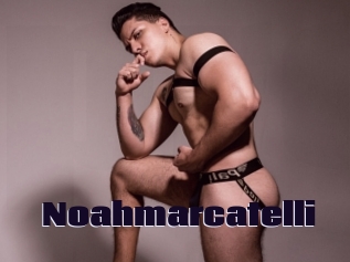 noahmarcatelli Prolap Sex