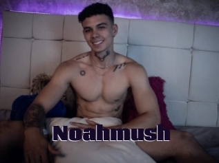 noahmush Prolap Sex