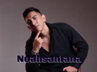 noahsantana Prolap Sex